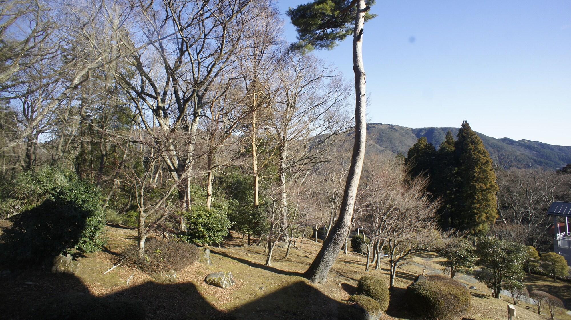 Hakone Forest Of Verde Zewnętrze zdjęcie