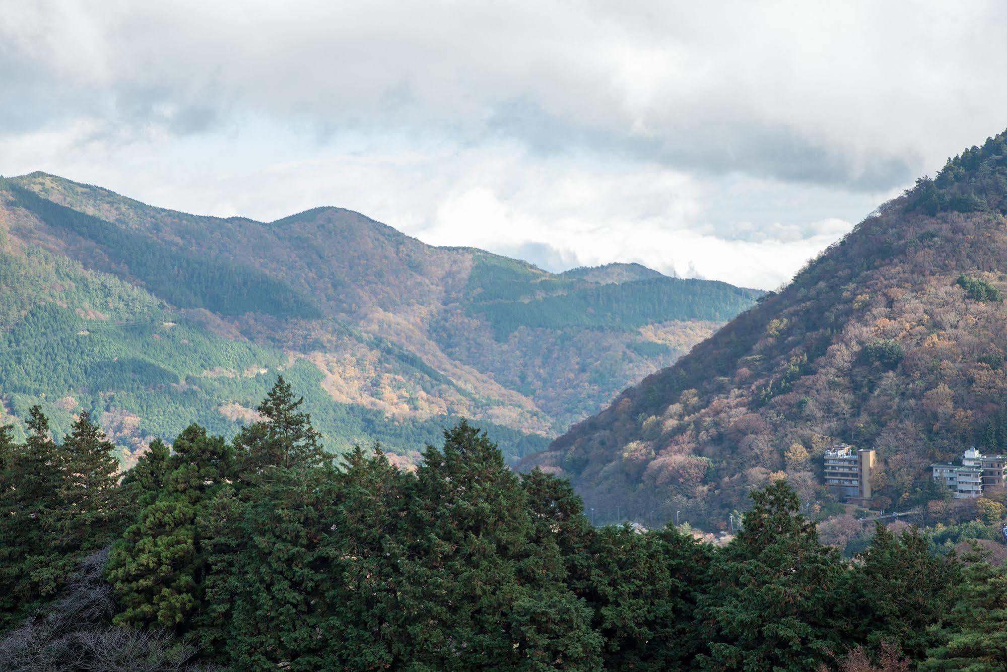Hakone Forest Of Verde Zewnętrze zdjęcie